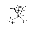 (pentamethylcyclopentadienyl)Pd(P(i-Pr)3)Br Structure