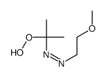 2-hydroperoxypropan-2-yl(2-methoxyethyl)diazene结构式