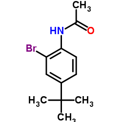 N-(2-Bromo-4-tert-butylphenyl)acetamide结构式
