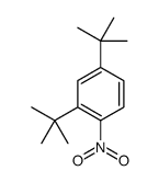 2,4-ditert-butyl-1-nitrobenzene Structure