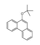 9-[(2-methylpropan-2-yl)oxy]phenanthrene结构式