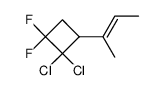 2-(2,2-Dichlor-3,3-difluor-cyclobutyl)-but-2c-en Structure