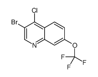 3-Bromo-4-chloro-7-trifluoromethoxyquinoline picture