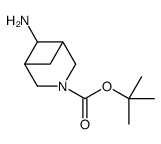 Meso-(1R,5S,6r)-叔-丁基 6-氨基-3-氮杂二环[3.1.1]庚烷-3-甲酸基酯结构式