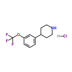 4-[3-(Trifluoromethoxy)phenyl]piperidine hydrochloride (1:1) Structure