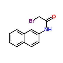 2-Bromo-N-(2-naphthyl)acetamide Structure