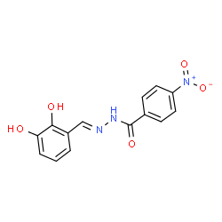 N'-(2,3-dihydroxybenzylidene)-4-nitrobenzohydrazide结构式