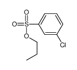 propyl 3-chlorobenzenesulfonate Structure