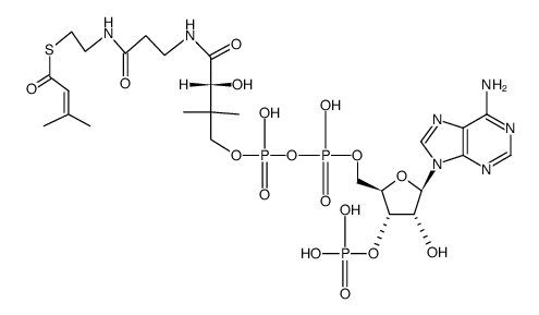 3-methylcrotonyl-CoA结构式