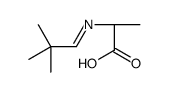 L-Alanine, N-(2,2-dimethylpropylidene)- (9CI) Structure