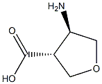 (3R,4R)-4-Aminotetrahydro-3-furancarboxylic acid Structure