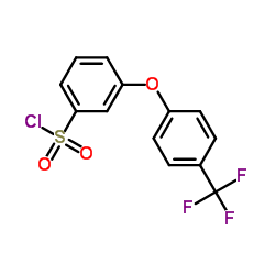 3-[4-(Trifluoromethyl)phenoxy]benzenesulfonyl chloride图片