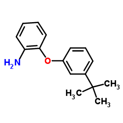 2-[3-(2-Methyl-2-propanyl)phenoxy]aniline Structure