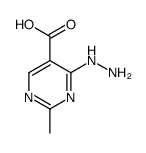 4-hydrazinyl-2-methylpyrimidine-5-carboxylic acid Structure
