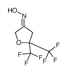 N-[5,5-bis(trifluoromethyl)oxolan-3-ylidene]hydroxylamine结构式