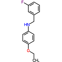 4-Ethoxy-N-(3-fluorobenzyl)aniline结构式