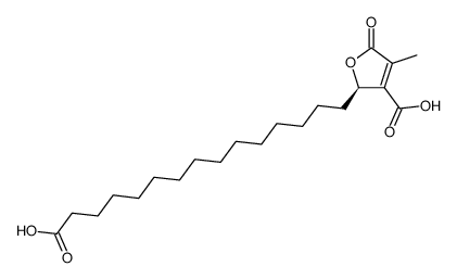 (R)-(+)-praesorediosic acid Structure
