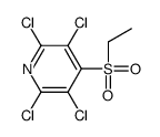 2,3,5,6-tetrachloro-4-ethylsulfonylpyridine Structure