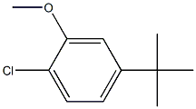 4-tert-Butyl-1-chloro-2-methoxy-benzene Structure