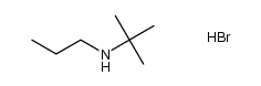 tert-butylpropylamine hydrobromide结构式