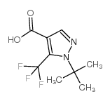 1-tert-butyl-5-(trifluoromethyl)pyrazole-4-carboxylic acid Structure