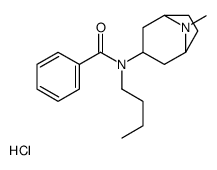 N-butyl-N-(8-methyl-8-azabicyclo[3.2.1]oct-3-yl)benzamide hydrochlorid e picture