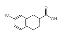 7-羟基-1,2,3,4-四氢萘-2-羧酸图片