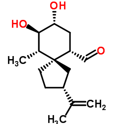 (±)-Oxylubimin picture