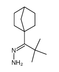 2,2-dimethyl-1-(1-norbornyl)-1-propanone hydrazone Structure