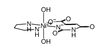 [Ni(orotic acid(-2H))(H2O)2(1,3-propanediamine)]结构式