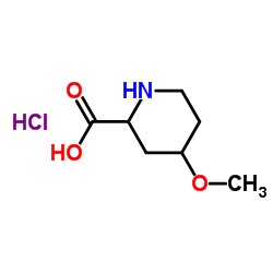 4-Methoxy-2-piperidinecarboxylic acid hydrochloride (1:1)结构式