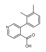 3-(2,3-dimethylphenyl)pyridine-4-carboxylic acid结构式