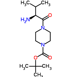 2-Methyl-2-propanyl 4-(L-valyl)-1-piperazinecarboxylate Structure
