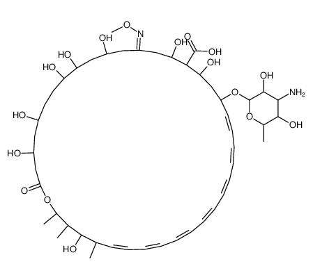 amphotericin B O-methyloxime Structure