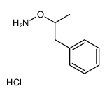 O-(1-phenylpropan-2-yl)hydroxylamine,hydrochloride结构式