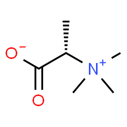 [S,(-)]-2-(Trimethylaminio)propanoic acid ion structure