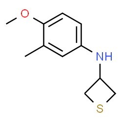 N-(4-甲氧基-3-甲基苯基)硫杂环丁烷-3-胺结构式
