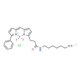 BDP R6G amine Structure