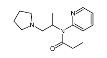 N-pyridin-2-yl-N-(1-pyrrolidin-1-ylpropan-2-yl)propanamide结构式