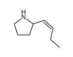 Pyrrolidine, 2-(1Z)-1-butenyl- (9CI) picture
