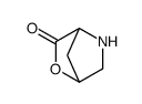 2-oxa-5-azabicyclo[2.2.1]heptan-3-one Structure