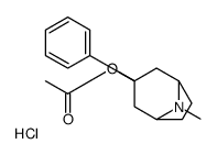 8-Azabicyclo[3.2.1]octan-3-ol, 8-Methyl-3-phenyl-, acetate (ester), hydrochloride, endo- Structure