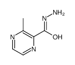 Pyrazinecarboxylic acid, 3-methyl-, hydrazide (9CI) picture