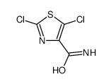 2,5-dichloro-1,3-thiazole-4-carboxamide结构式