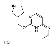 N-ethyl-2-(pyrrolidin-3-ylmethoxy)pyrimidin-4-amine,hydrochloride Structure
