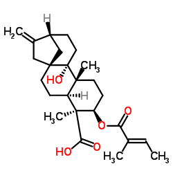 3α-Tigloyloxypterokaurene L3 picture