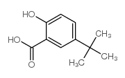 Benzoic acid,5-(1,1-dimethylethyl)-2-hydroxy- Structure