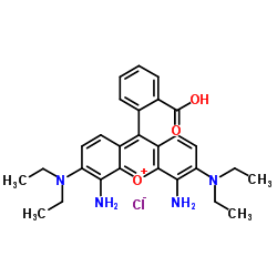 4,5-Diamino-9-(2-carboxyphenyl)-3,6-bis(diethylamino)xanthenium chloride Structure
