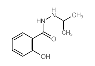 2-hydroxy-N-propan-2-yl-benzohydrazide结构式