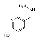 2-((pyridin-3-yl)Methyl)hydrazine hydrochloride picture